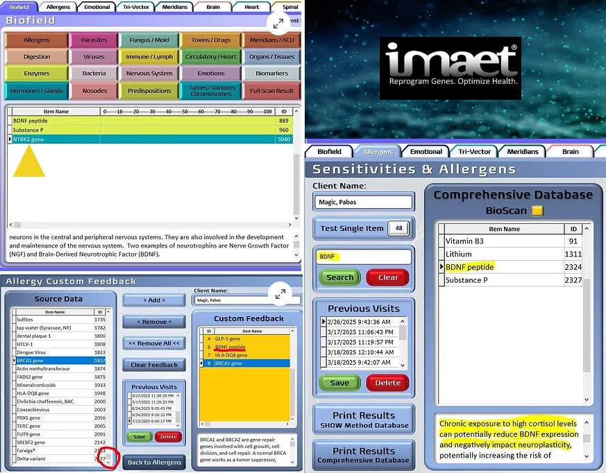 imaet image