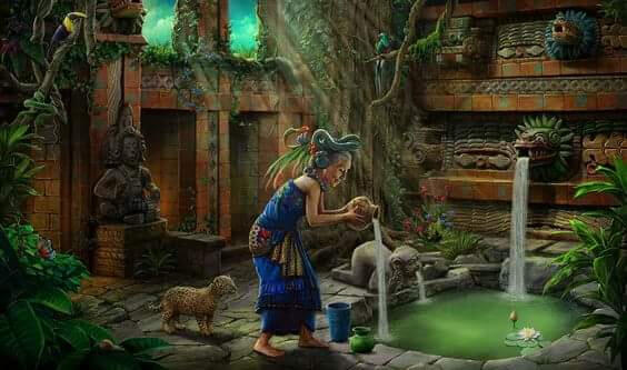 arvigo image